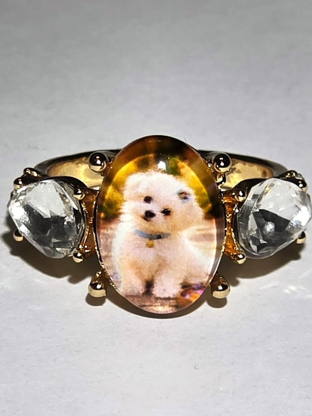 Great Ring With Little White Dog In The Pictue